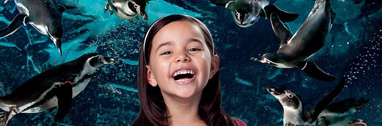 Acquario di Cattolica