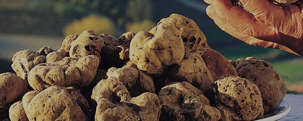 Fossa, Tartufo e Venere Mondaino