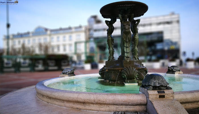 Amando Cattolica: Foto della Fontana delle Sirene