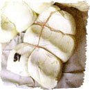 Il tipico formaggio di fossa