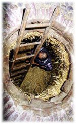 Fossa per il formaggio