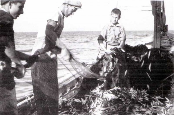 La dura vita del murè