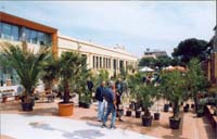 Mostra dei Fiori in Piazza Mercato a Cattolica