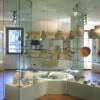 Museo della Regina a Cattolica - sezione archeologica