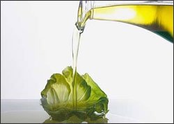 Olio DOP Colline romagnole