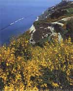 Falesia del monte San Bartolo