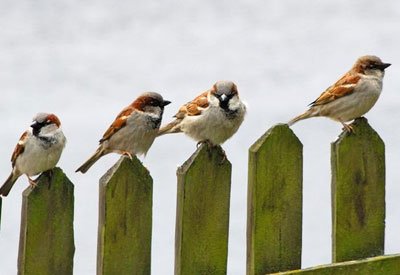 Il sistema degli antichi per fare le previsioni del tempo