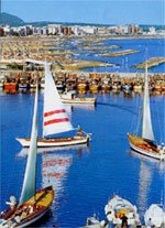 Rientro dei cutter nel porto di Cattolica