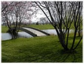 Percorso campo da golf