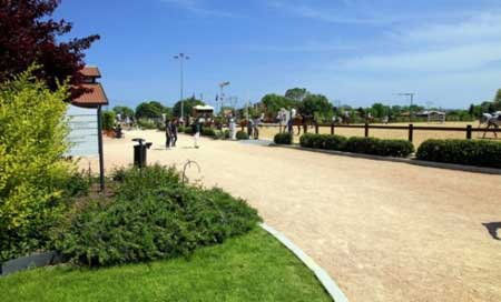 Centro Ippico Riviera Horses