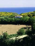 Panorama alla Vallugola nel Parco San Bartolo