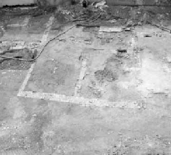 Area Pritelli: al centro dell’area archeologica, i muri delineano il perimetro di due grandi ambienti,intorno ai quali si collocavano vasche e piccoli impianti