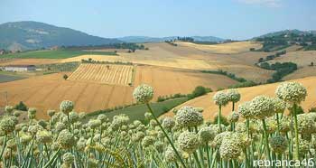 Campagna di San Clemente di Romagna