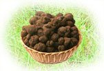 tartufo info